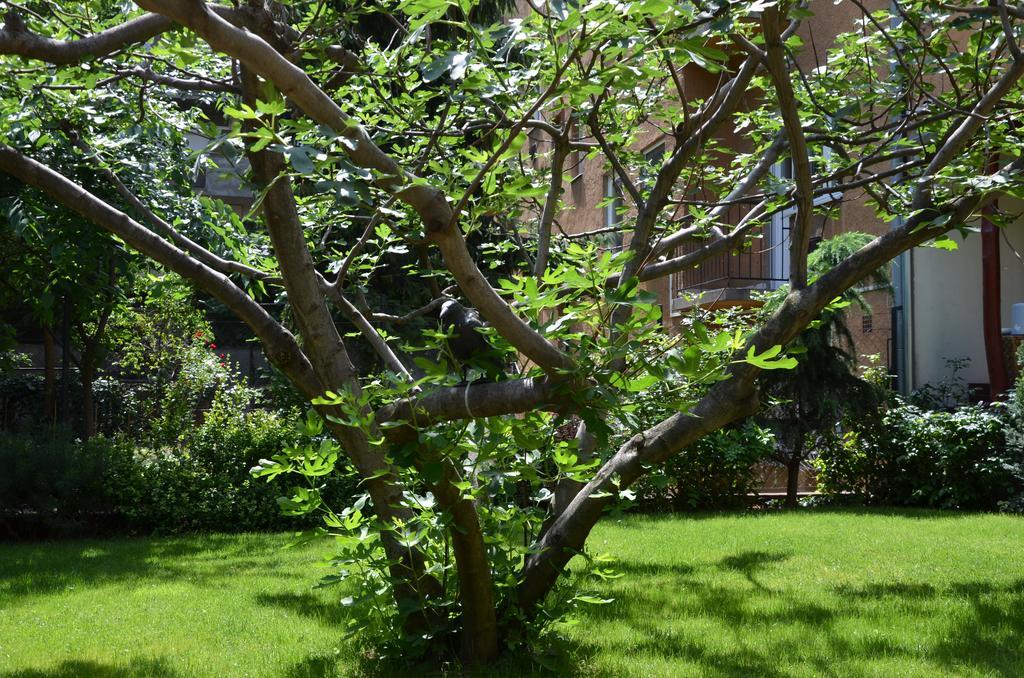 Fig Tree House Budapest Exterior photo